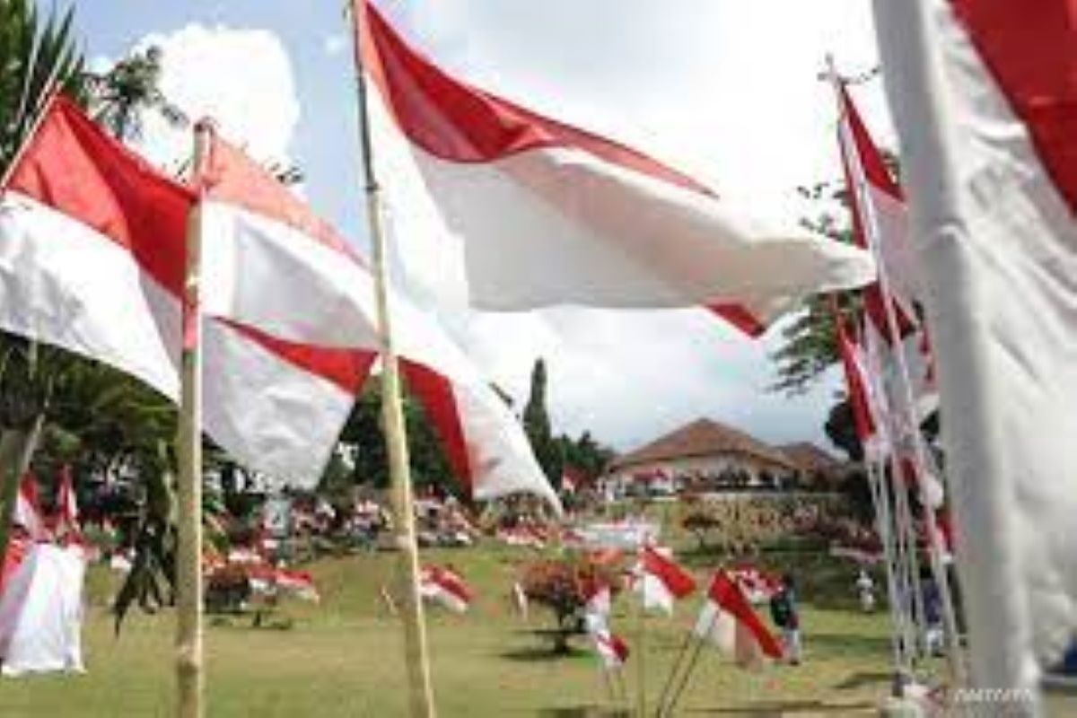 Pekanbaru peroleh penghargaan gerakan 10 juta bendera merah putih