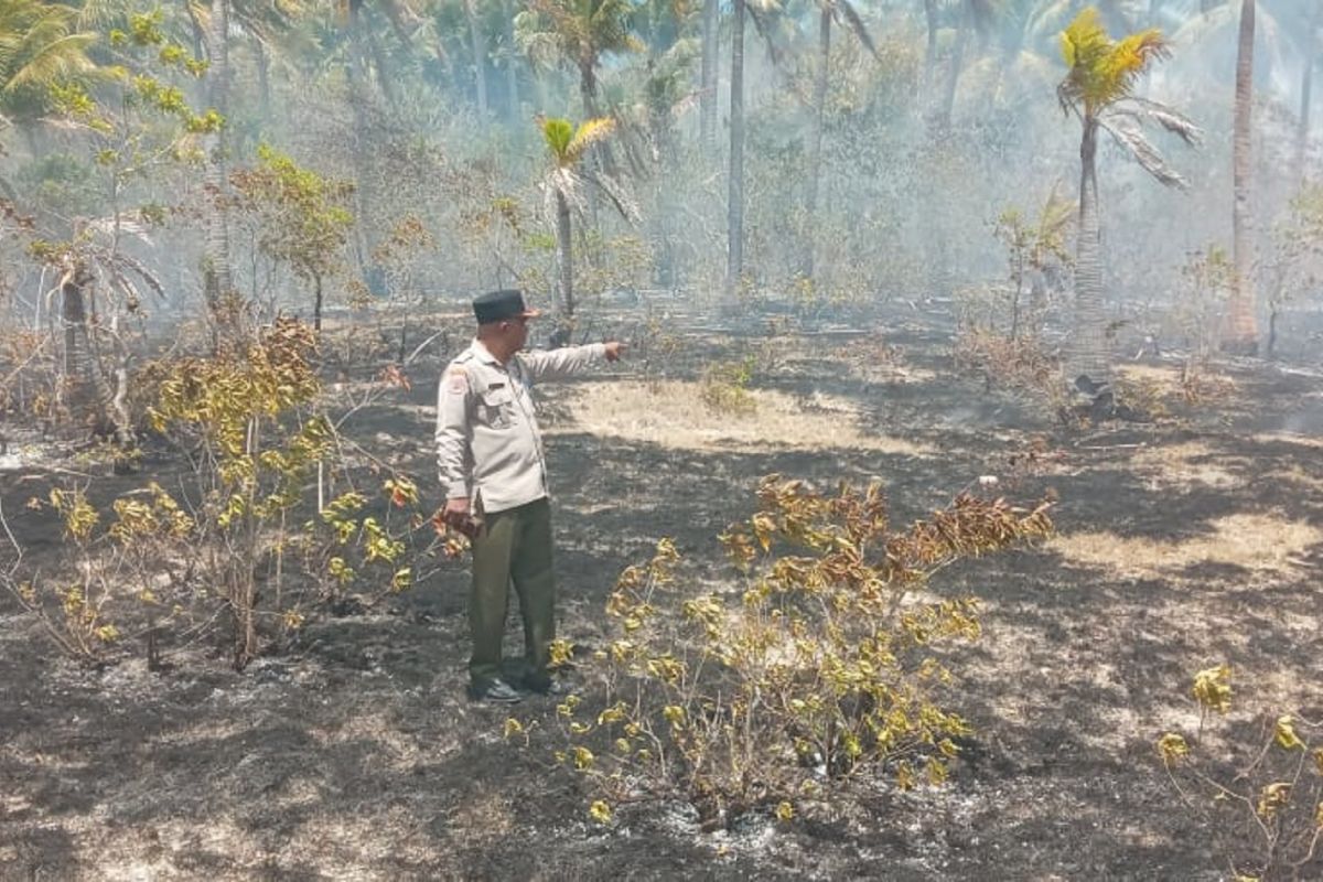 Pemkab Sabu Raijua minta masyarakat waspada karhutla