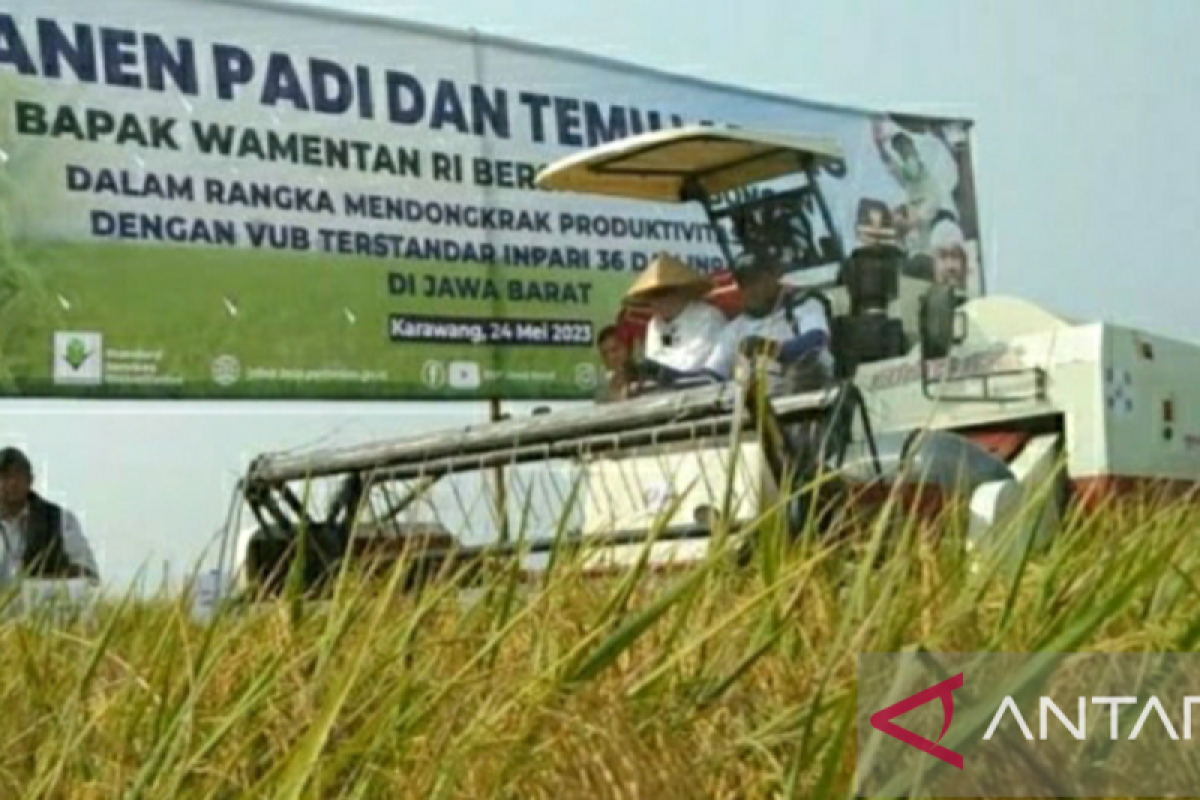 Beras dan kondisi pertanian di daerah lumbung padi saat menghadapi El Nino