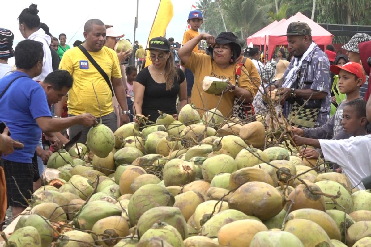 Pemkot Jayapura: Festival Kelapa buka peluang bagi pelaku usaha