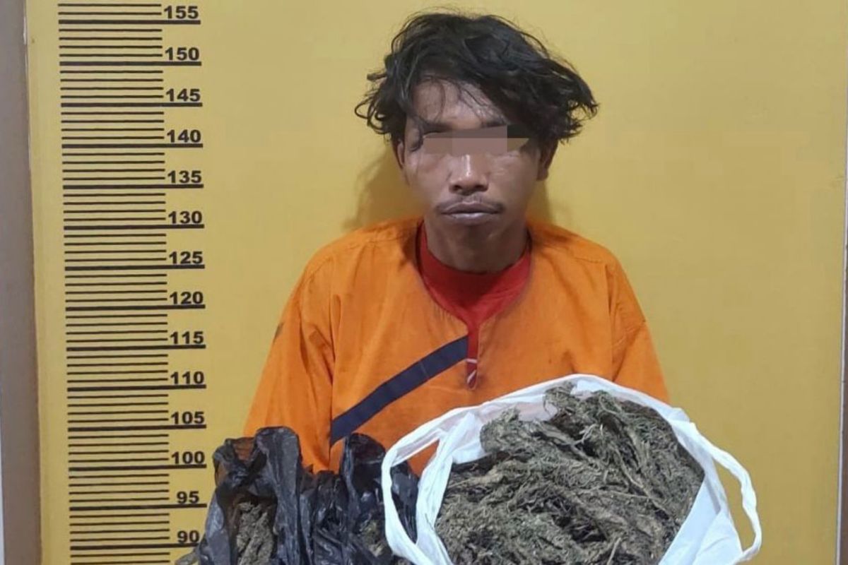 Simpan 950 gram ganja kering, pria di Inhu dibui