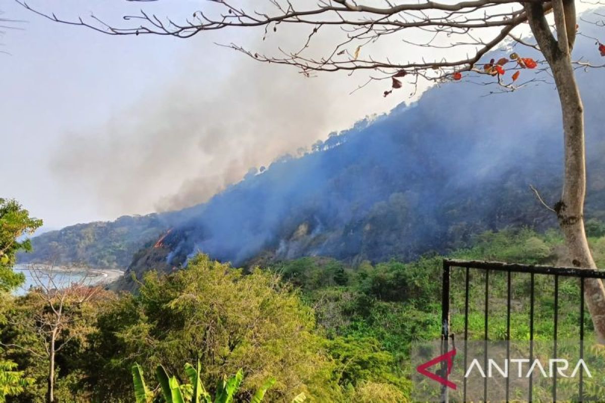 Puncak Habibie dilalap api