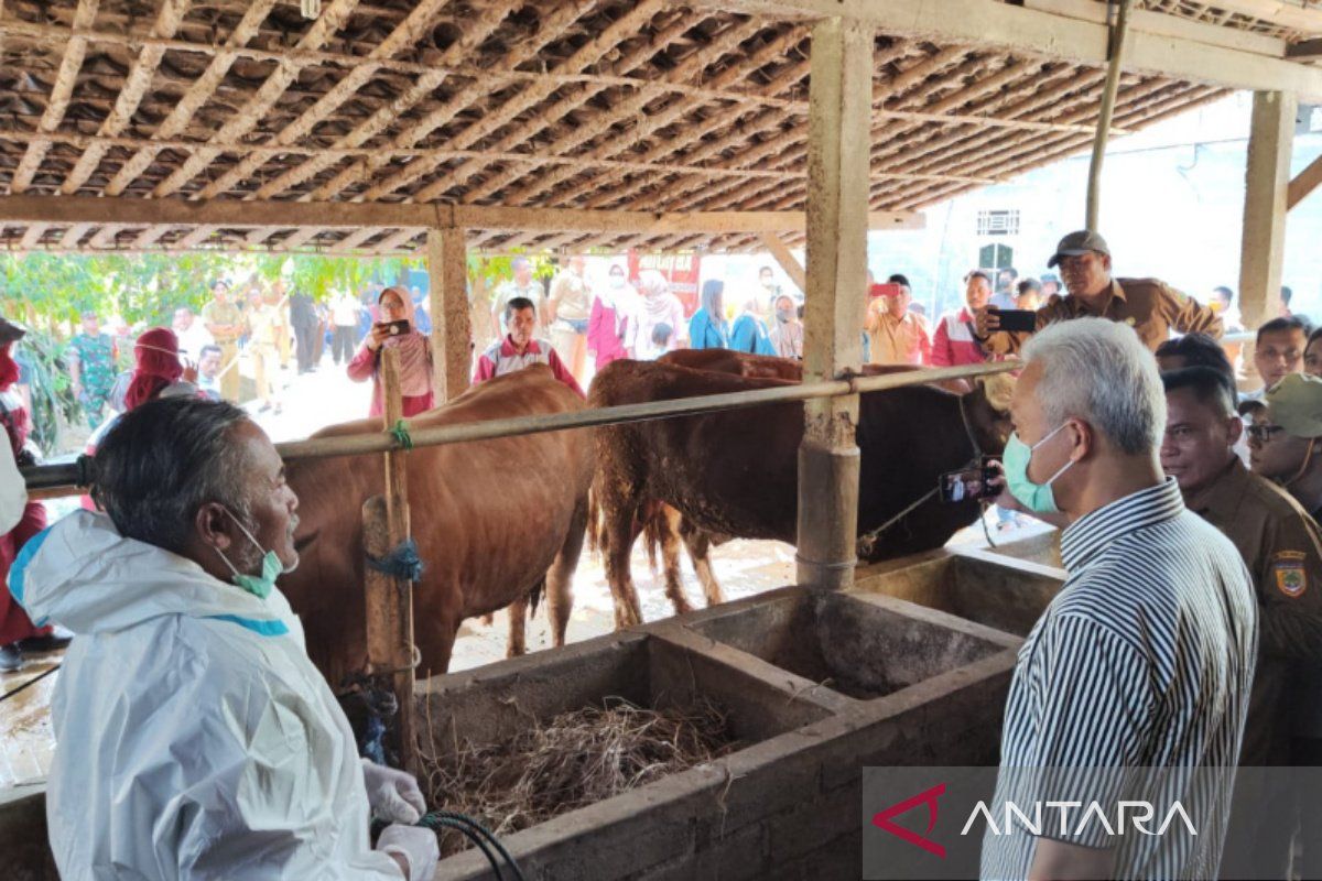 Pemkab Sragen beri antibiotik cegah kematian ternak akibat  BEF