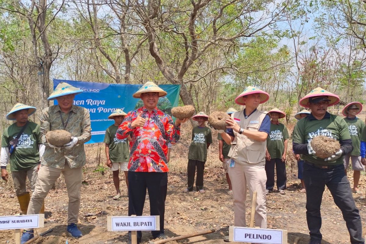 Madiun panen raya tanaman porang di Desa Sumberbendo