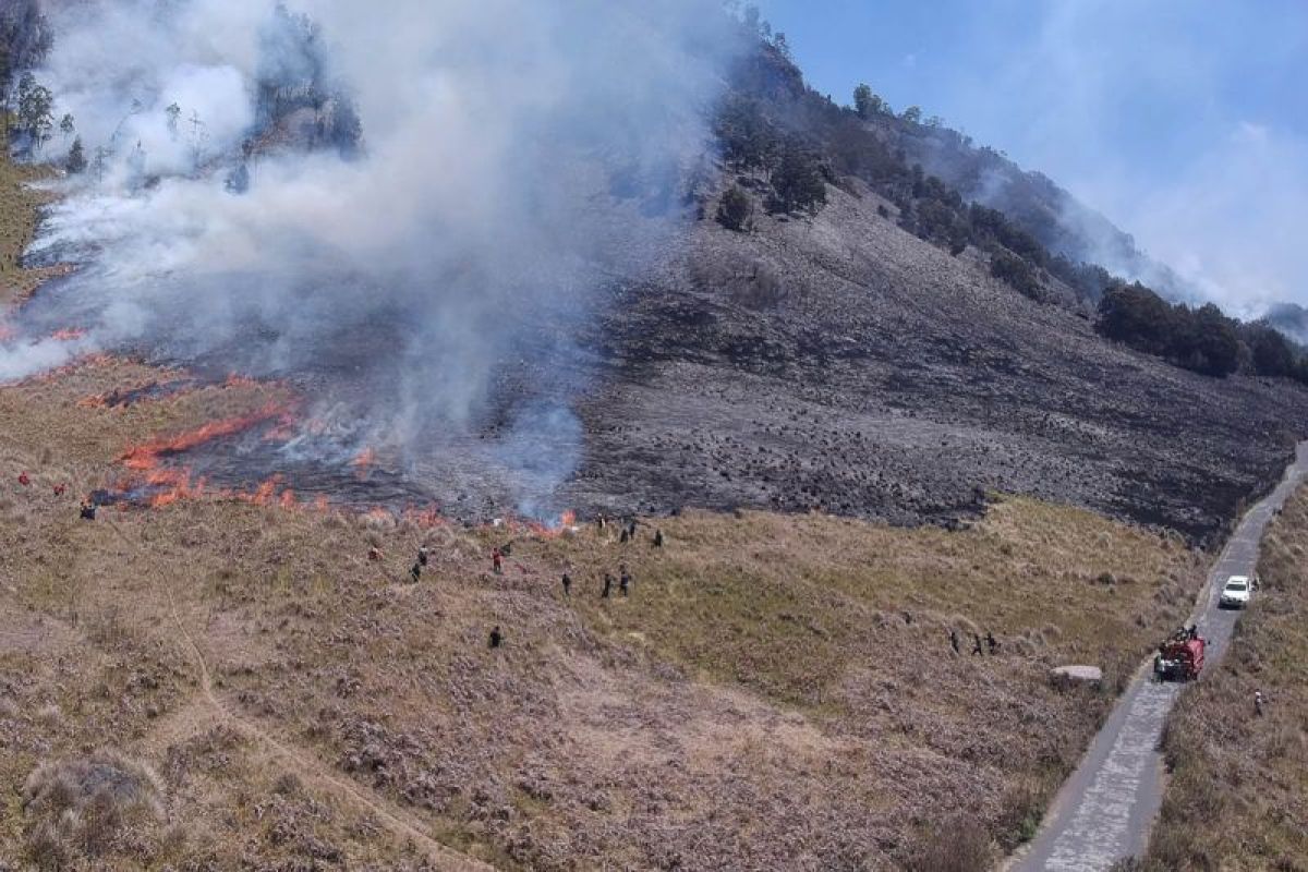 504 hektare kawasan Gunung Bromo rusak akibat terbakar