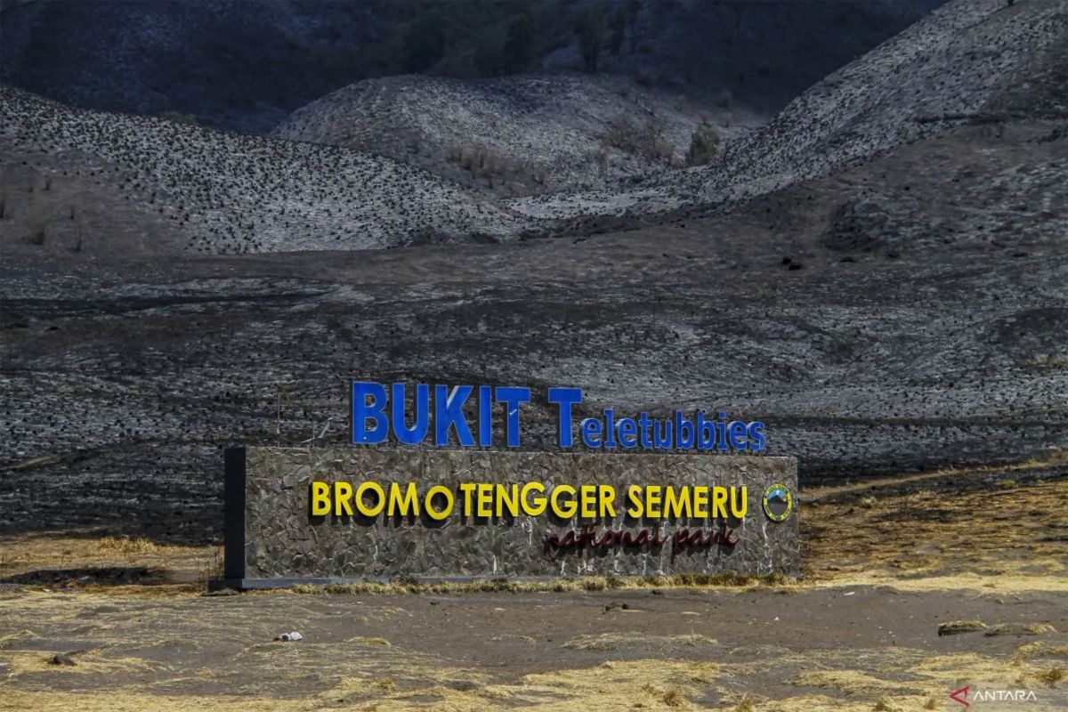 Pembukaan kembali kawasan wisata Gunung Bromo tengah dievaluasi