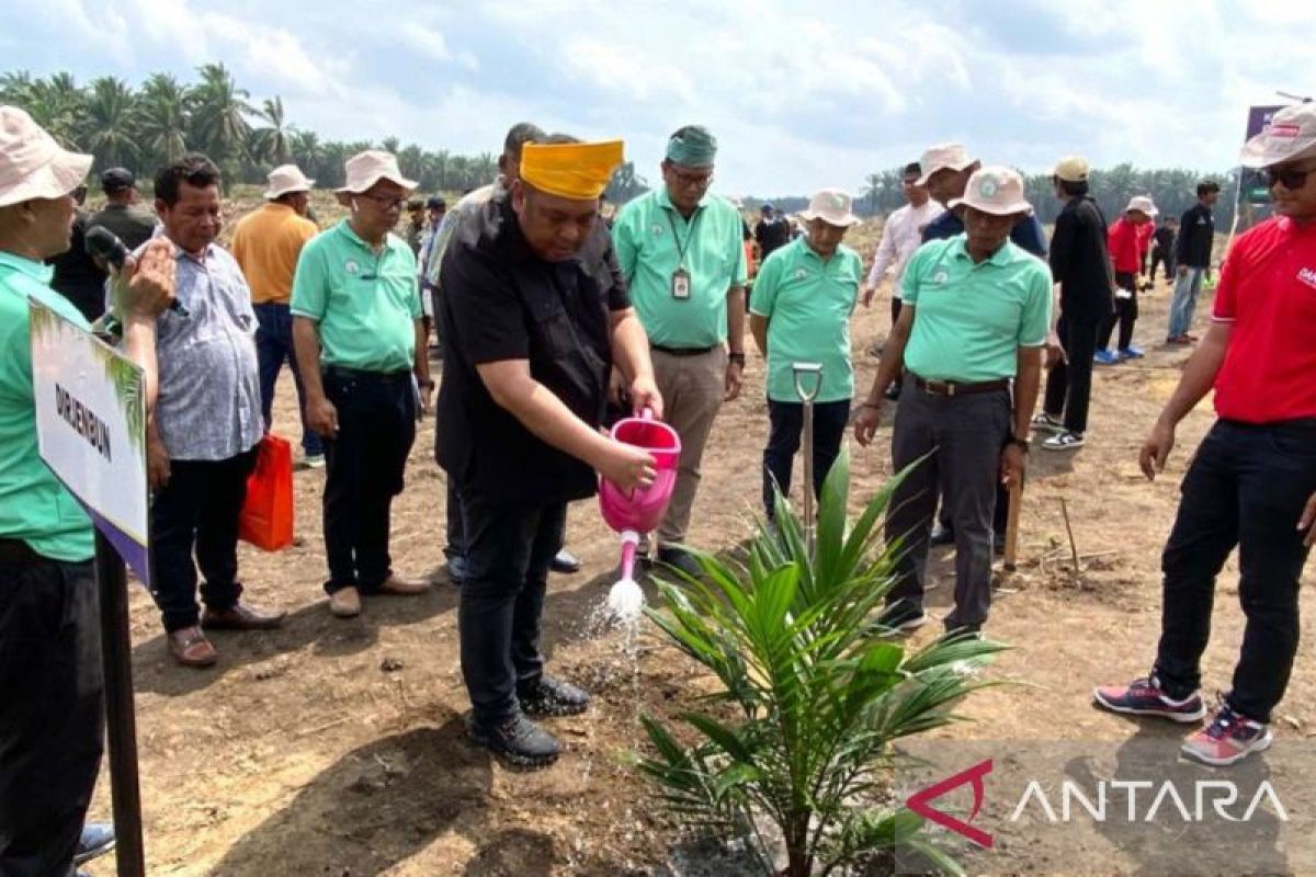 Manfaat dan syarat gabung program PSR untuk petani