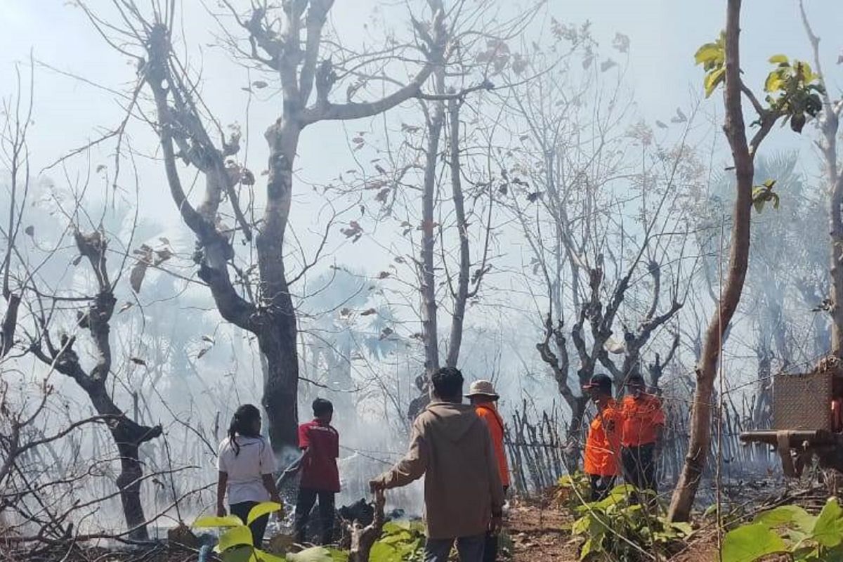 BMKG ingatkan potensi angin kencang pada tiga pulau di NTT