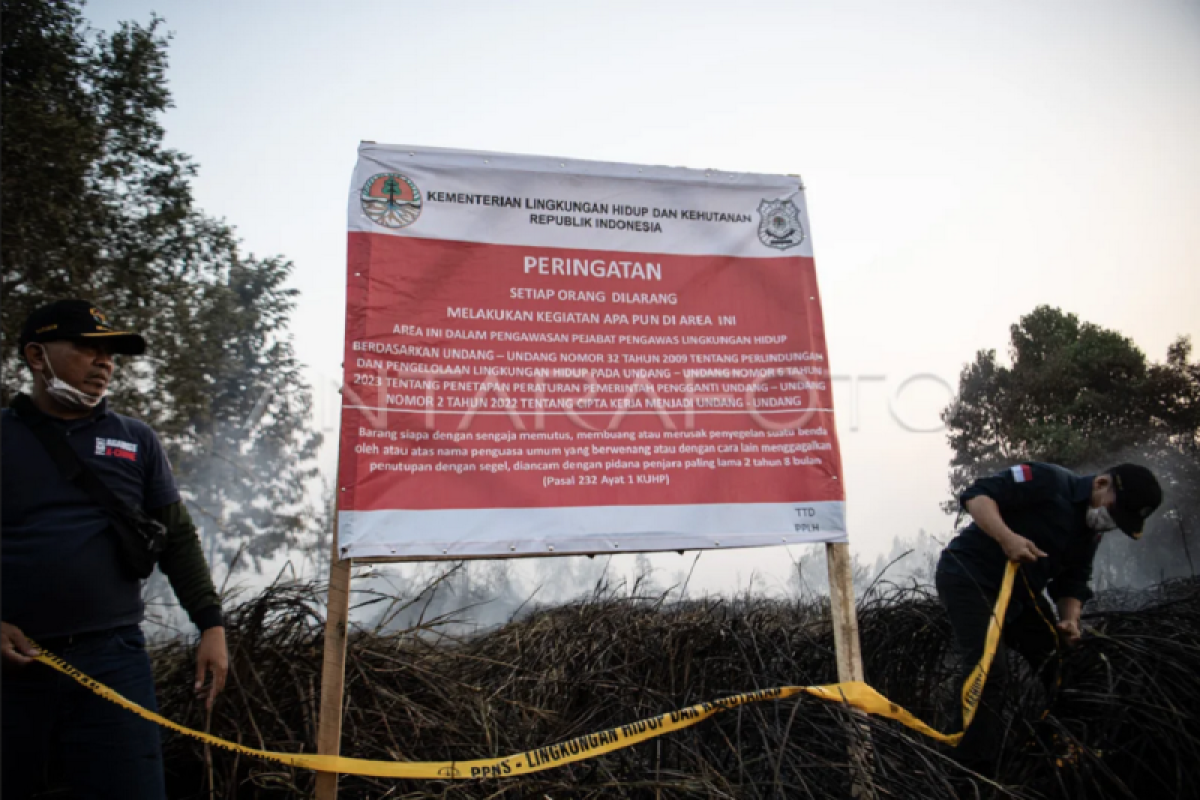 Restorasi gambut mendatangkan manfaat bagi masyarakat