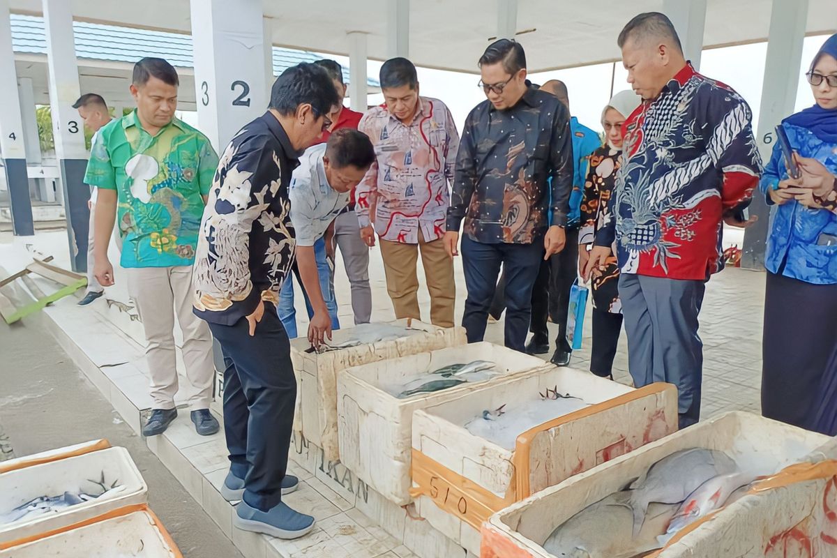 Pemkab Bangkep pasok logistik penuhi kebutuhan pangan untuk warga Morowali