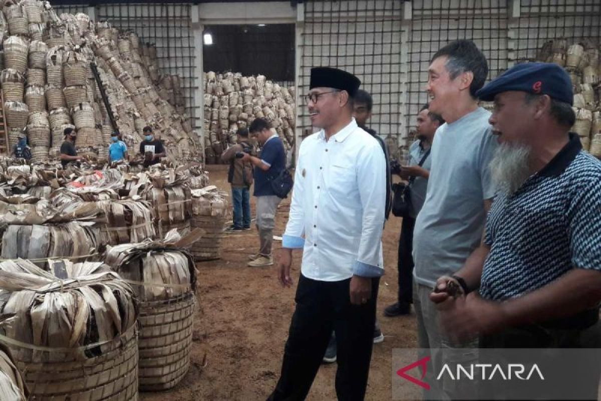 Bupati  Temanggung sebut kualitas tembakau sangat baik