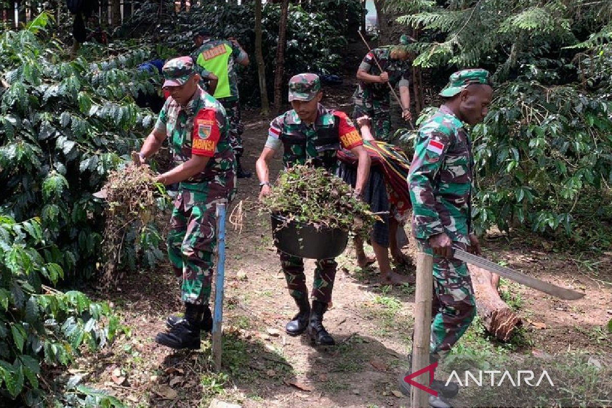 Kodim 1702/Jayawijaya mendampingi petani Kampung Yagara garap kopi