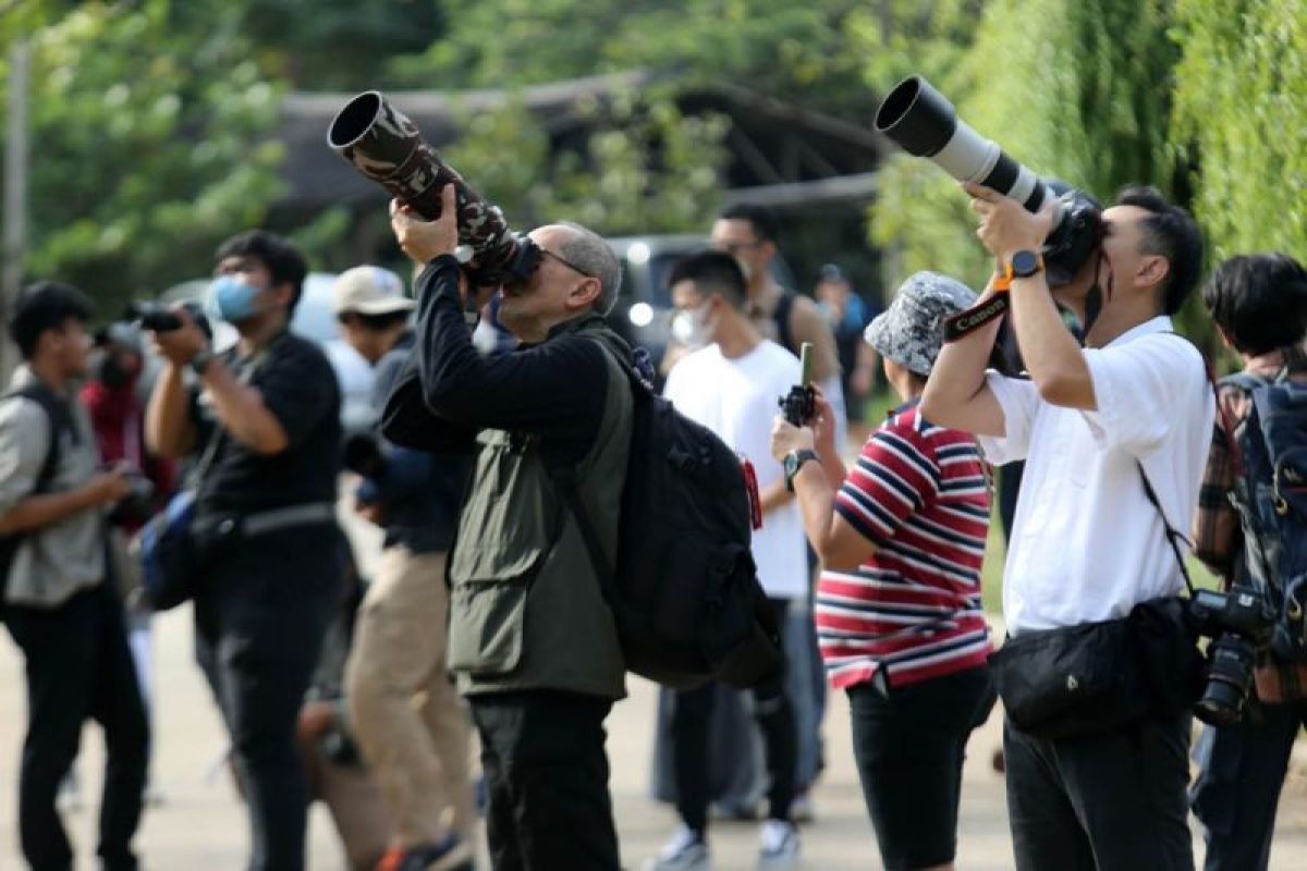 Yuk ikutan lomba foto flora fauna