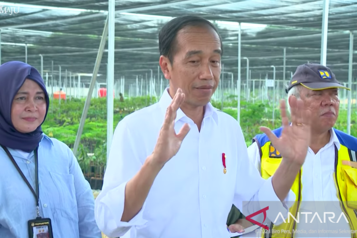 Presiden Jokowi: Persemaian Mentawir sudah siap hijaukan IKN
