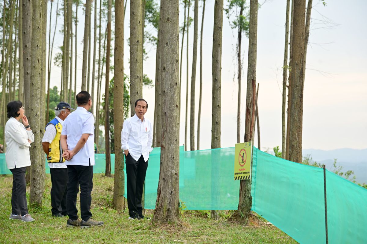 Presiden Joko Widodo ajak para menteri nikmati pemandangan pagi di IKN