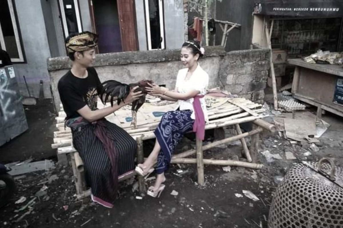 Tradisi "Ngumbuq" sebagai ajang pembuktian cinta di Lombok Tengah