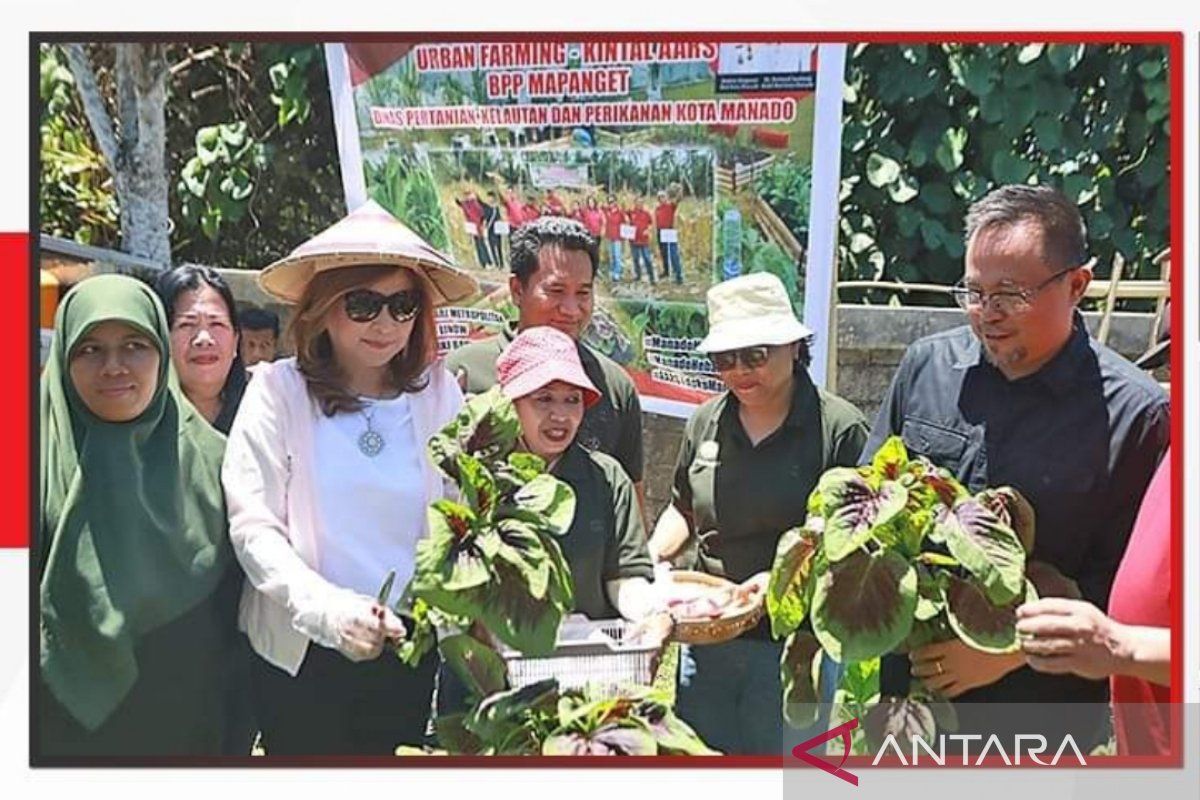 Pemkot Manado: Urban Farming tingkatkan sektor pertanian perkotaan