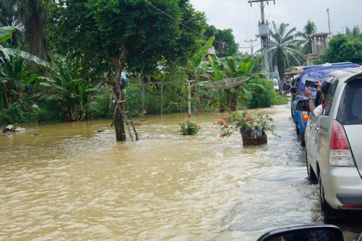 430 Ha lahan pertanian di Pasaman Barat Sumbar terdampak banjir