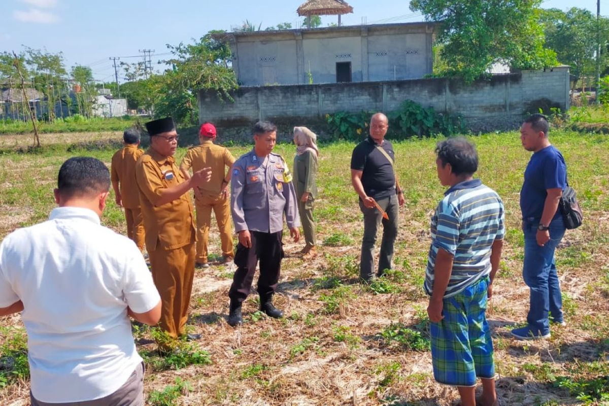 Bocah usia 7 tahun tewas digigit anjing liar di Lombok Tengah