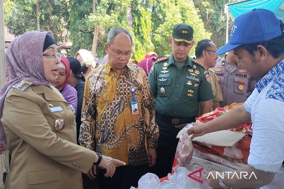 BI Tegal bagikan 12 ribu bibit cabai ke  gapoktan