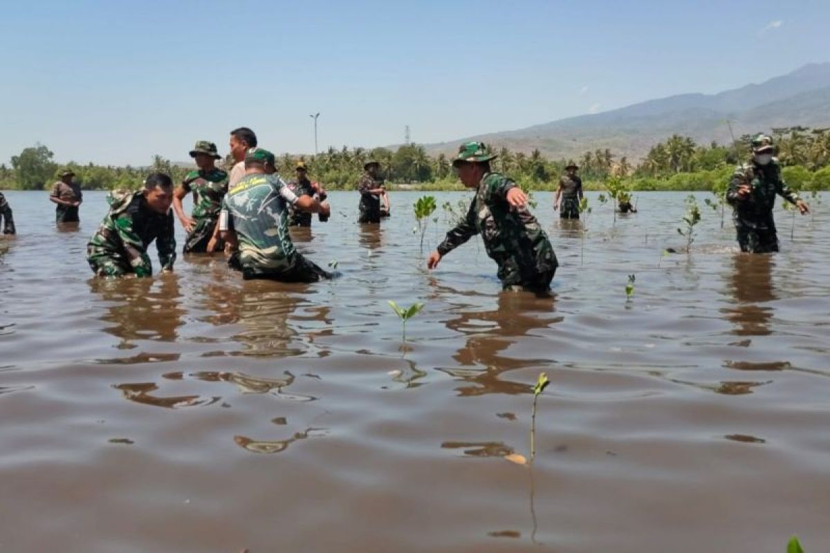 Ribuan bibit pohon mangrove ditanam TNI di Pantai Makam Keramat Lombok Timur