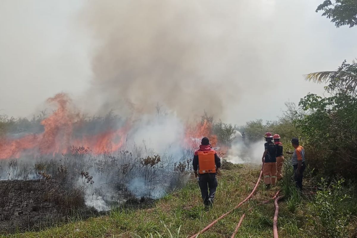 BPBD Sulteng: Sekitar 60 hektare lahan di Poso terdampak akibat karhutla