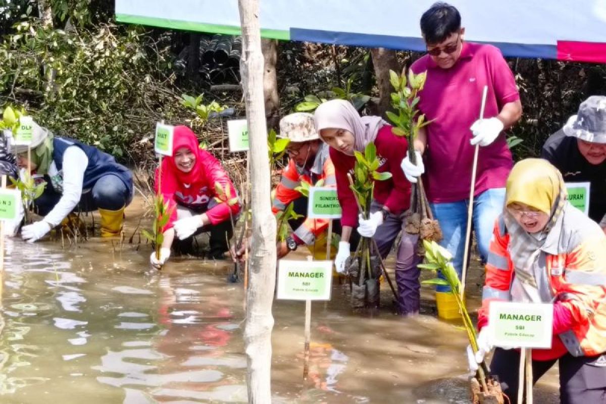 SBI  rintis eduwisata alam mangrove terintegrasi di Cilacap