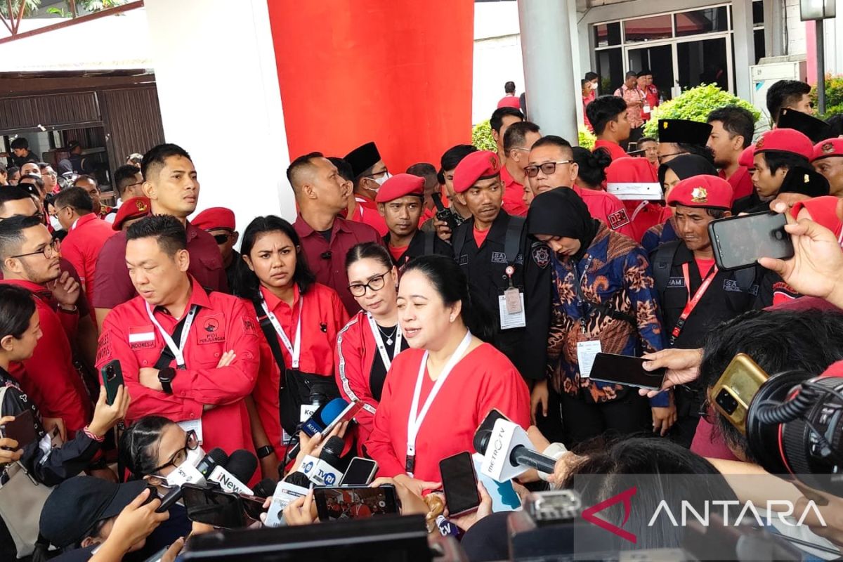 Puan nilai Jokowi tak cawe-cawe di partai lain