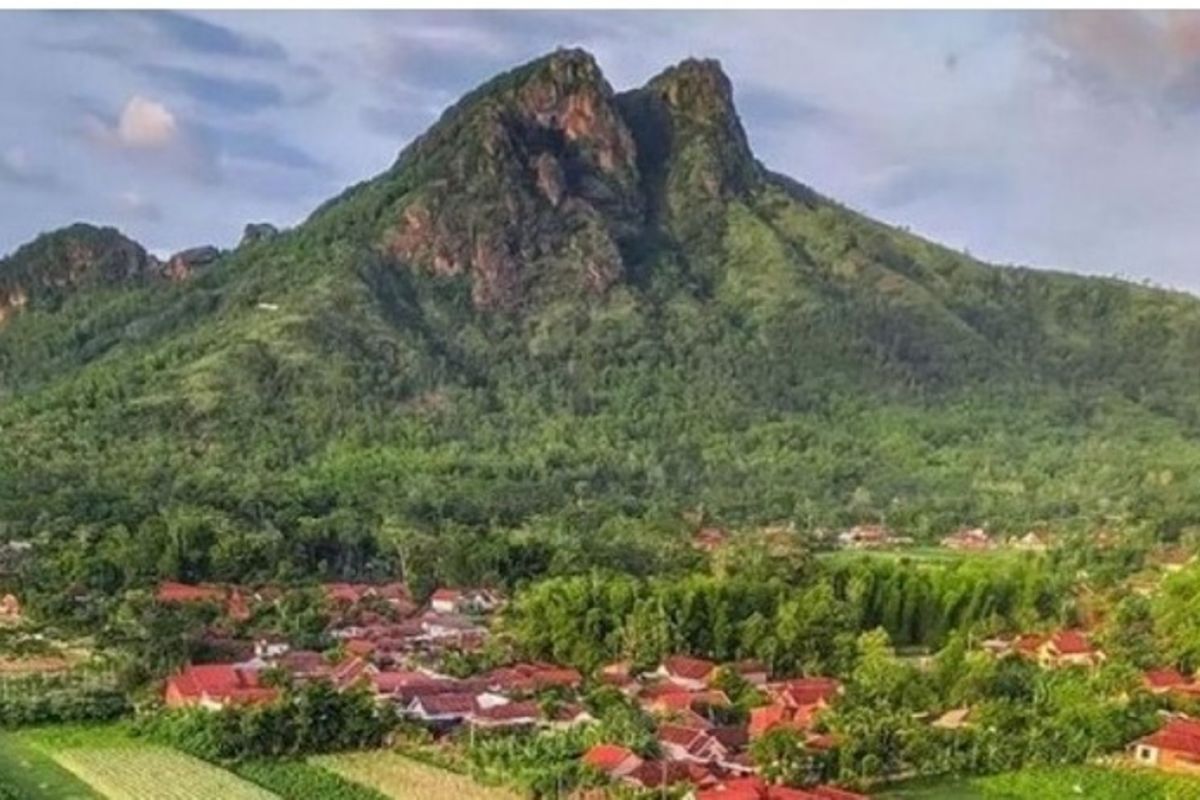 Aktivis lingkungan ajak masyarakat bantu cegah kebakaran hutan