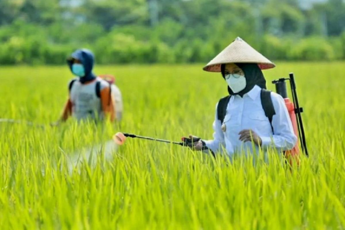 Banyuwangi terapkan RTTG antisipasi dampak El Nino