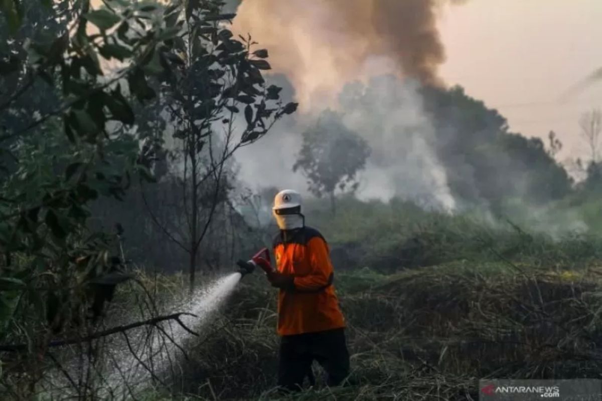 DIY minta masyarakat waspadai kebakaran selama puncak El Nino