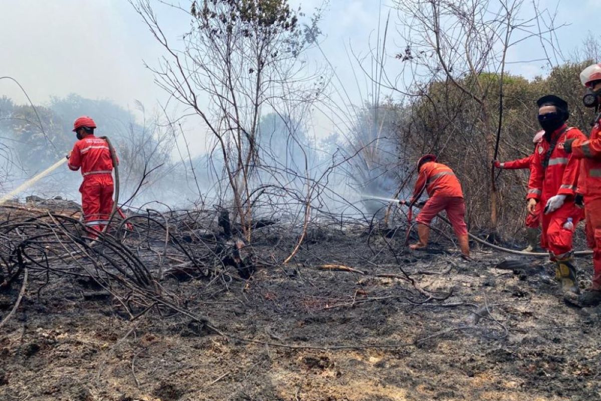 Penderita gangguan pernafasan rentan terdampak kabut asap