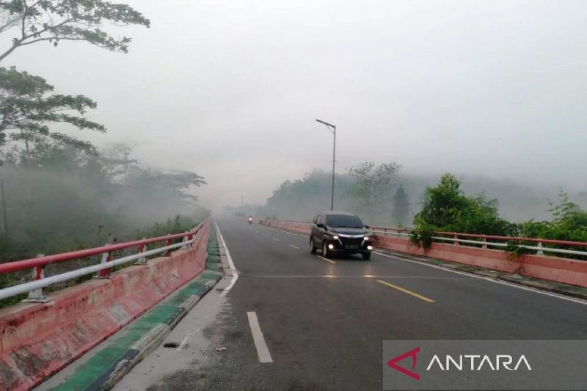 Asap ganggu jarak pandang di jalan poros Pulang Pisau-Palangka Raya