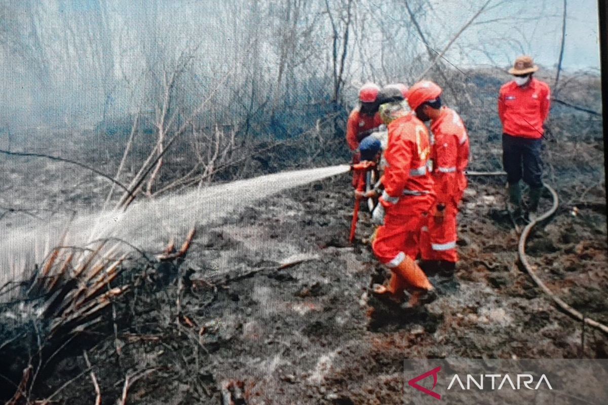 Kilang Pertamina Plaju bantu pemadaman karhutla