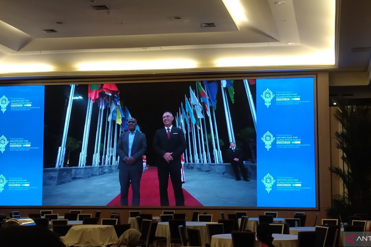 Pemimpin delegasi AIS Forum mulai tiba di Bali