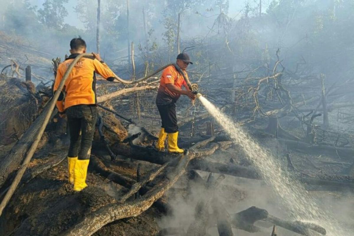 Info BMKG Balikpapan deteksi 257 titik panas di Kaltim