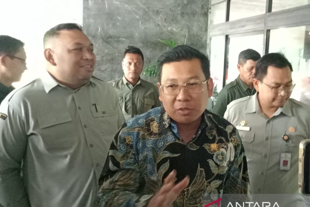 Plt Mentan sebut produksi beras tercukupi