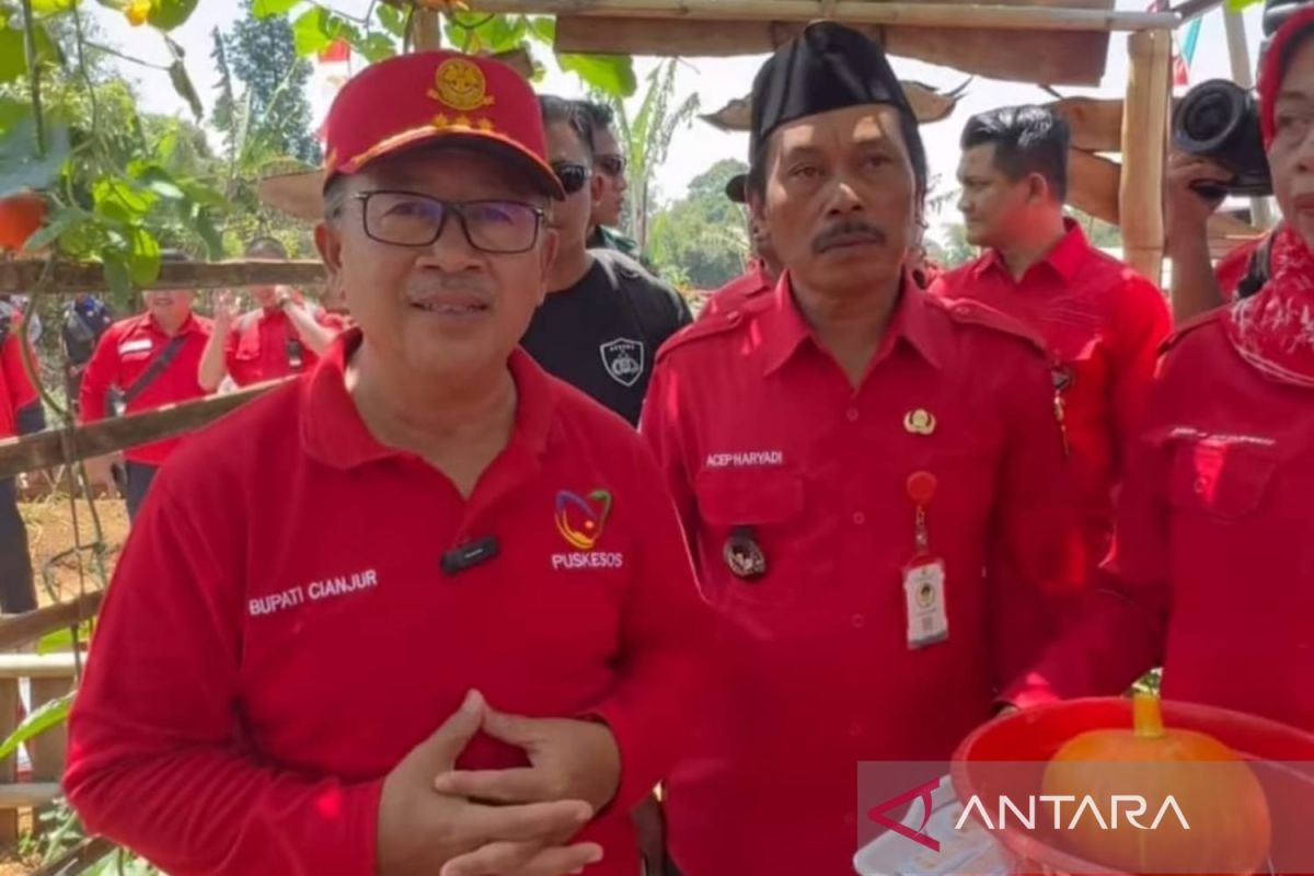Bupati Kabupaten Cianjur, Jawa Barat, Herman Suherman.(ANTARA/Ahmad Fikri). (Ahmad Fikri)