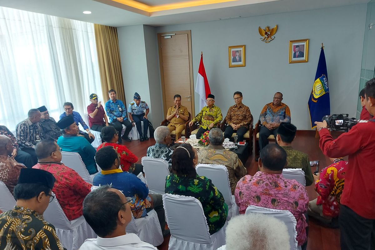 Wapres minta aktivis HAM berperan cari akar masalah Papua