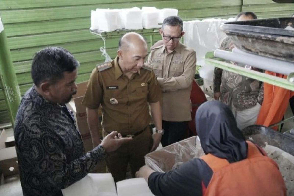 Pemprov Lampung: Temu bisnis klaster petani pisang naikkan daya saing