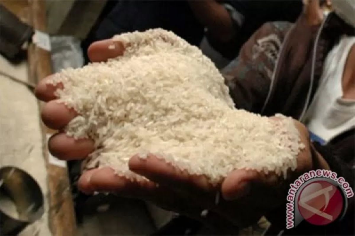 Pakar UGM memastikan informasi peredaran beras plastik itu hoaks