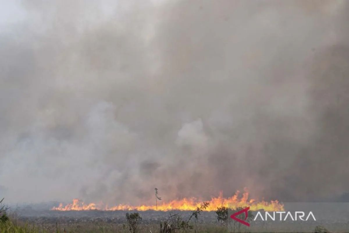 Pemprov Sumsel perpanjang durasi modifikasi cuaca