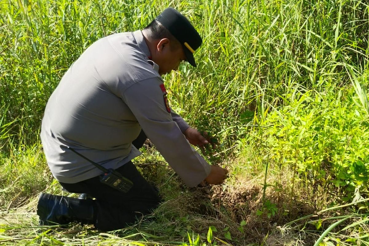 Polisi dan wartawan Kota Jayapura tanam pohon menjelang HUT Humas Polri