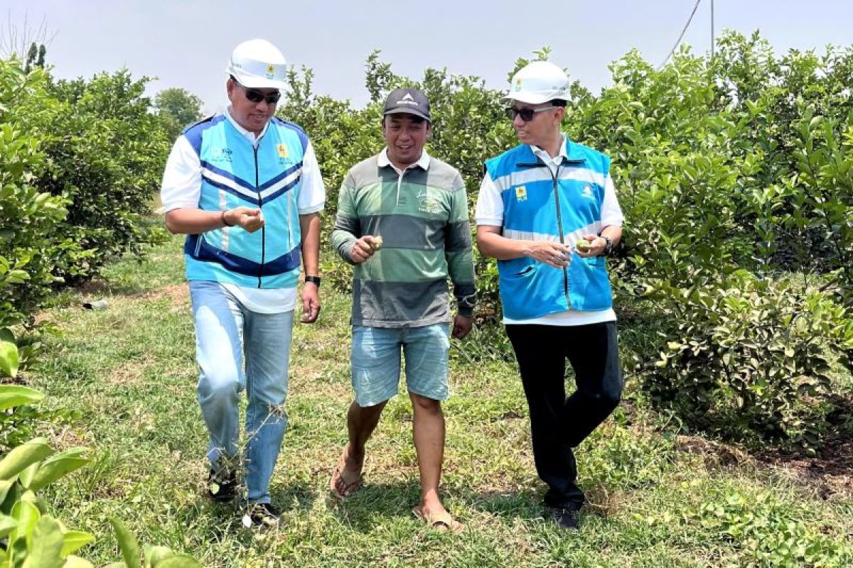 PLN :  Program "electrifying agriculture" mencapai 230 ribu pelanggan