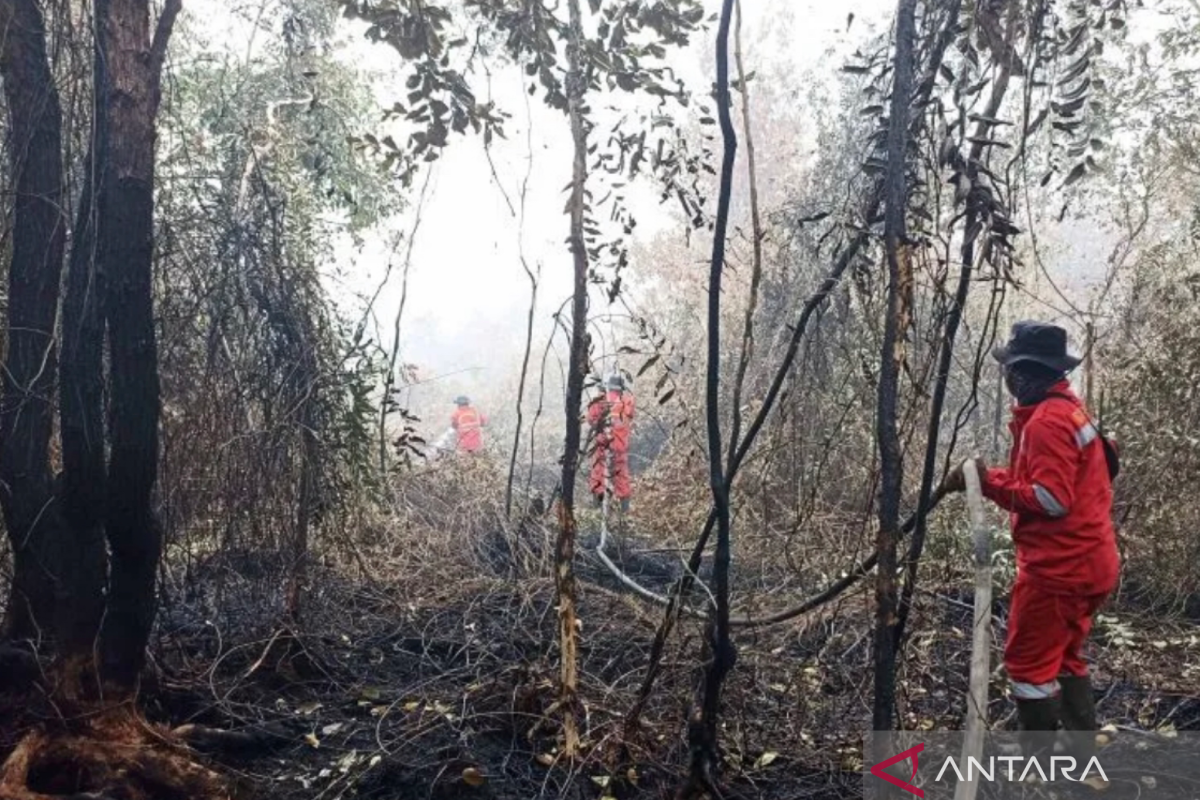 Satgas gabungan memadamkan karhutla di kawasan Gubernur Sarkawi