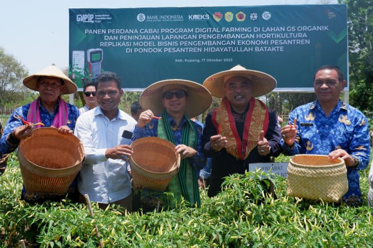 BI dukung produksi pangan strategis lewat digital farming