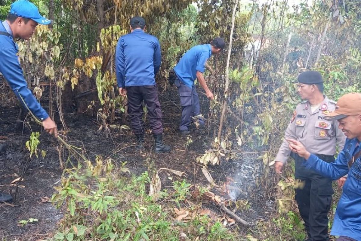 Kebakaran lahan di Pesisir Barat berhasil dipadamkan