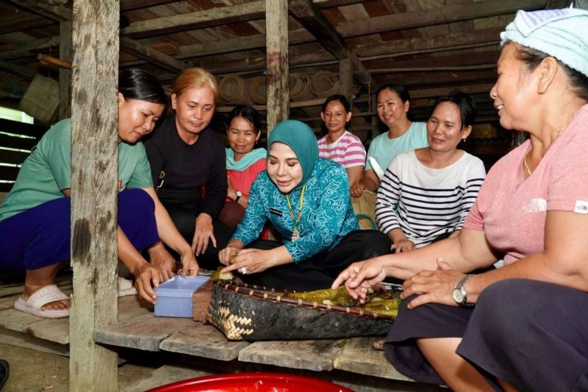 Ketua TP PKK Kaltara yang Pertama Kunjungi Masyarakat Long Bang