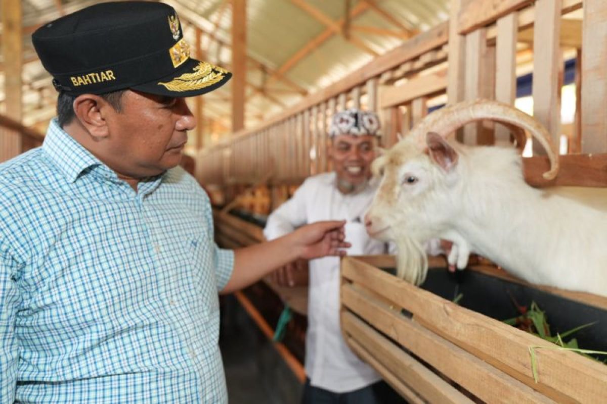 Penjabat Gubernur Sulsel kunjungi peternakan ayam dan kambing di Gowa