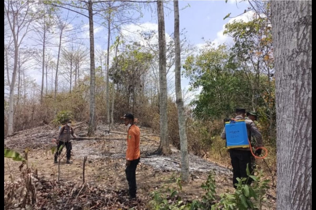 TNI/Polri patroli padamkan kebakaran perkebunan di Tanggamus Lampung